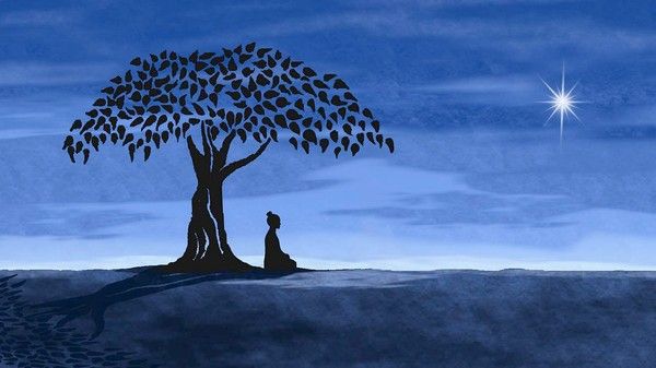 Növények, fák, magvak - Bodhi fa Ficus religiosa, Szent fügefa, Buddha fa, Bodhifa <span style="font-size: 1rem;">A Ficus religiosa, m&aacute;s n&eacute;ven s 